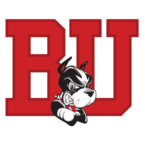 Boston Terriers