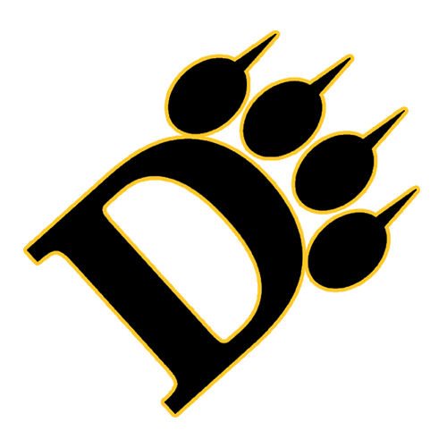 Ohio Dominican Panthers
